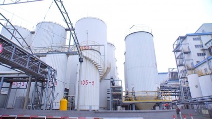 泰州口岸上半年大豆進口量領跑全省，糧油倉儲服務持續(xù)優(yōu)化